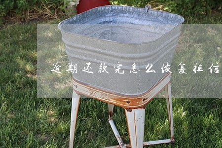 逾期还款完怎么恢复征信 逾期还款完怎么恢复征信
