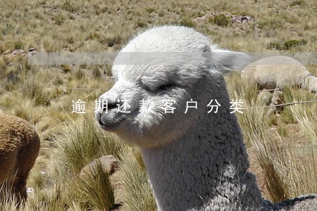 逾期还款客户分类 逾期还款客户分类