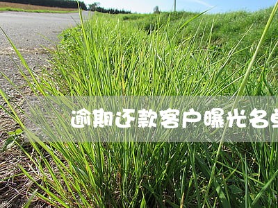 逾期还款客户曝光名单 逾期还款客户曝光名单