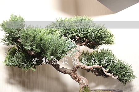逾期还款客服能消除吗 逾期还款客服能消除吗