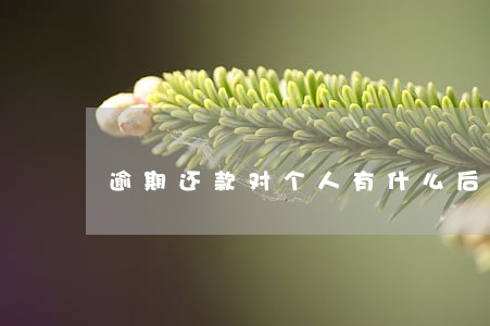 逾期还款对个人有什么后果 逾期还款对个人有什么后果