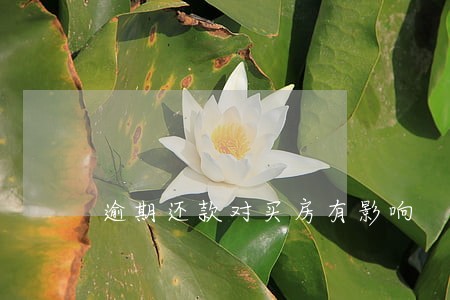 逾期还款对买房有影响 逾期还款对买房有影响