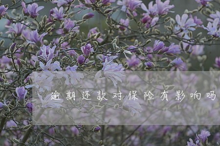 逾期还款对保险有影响吗 逾期还款对保险有影响吗