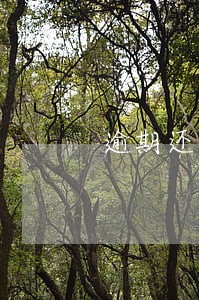 逾期还款对信用有影响吗 逾期还款对信用有影响吗
