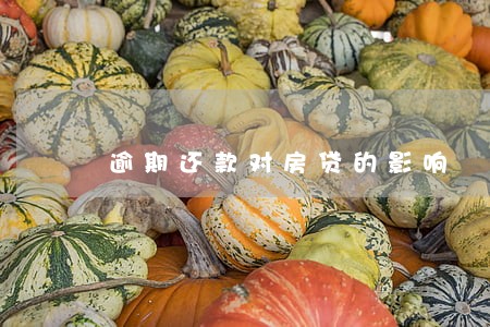 逾期还款对房贷的影响 逾期还款对房贷的影响