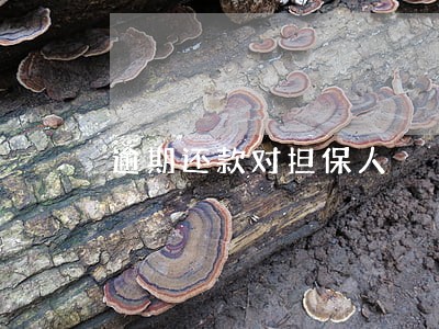 逾期还款对担保人 逾期还款对担保人