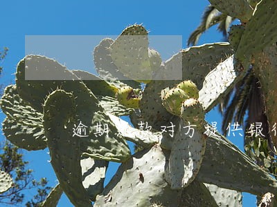 逾期还款对方提供银行账户能还吗 逾期还款对方提供银行账户能还吗