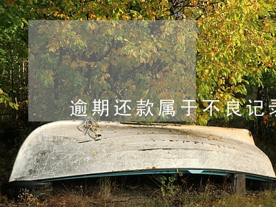 逾期还款属于不良记录吗