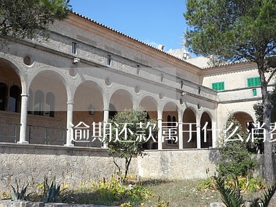 逾期还款属于什么消费