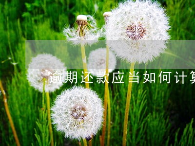 逾期还款应当如何计算利息 逾期还款应当如何计算利息