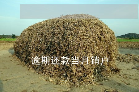 逾期还款当月销户 逾期还款当月销户
