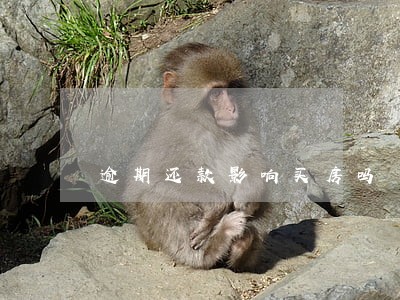逾期还款影响买房吗 逾期还款影响买房吗
