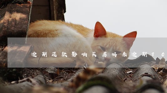 逾期还款影响买房吗未逾期90天 逾期还款影响买房吗未逾期90天