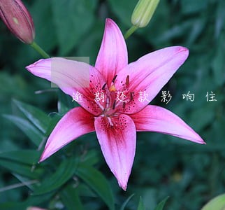 逾期还款影响住房公积金吗 逾期还款影响住房公积金吗
