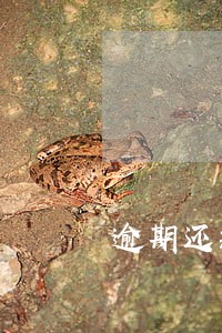 逾期还款影响征信会怎么样 逾期还款影响征信会怎么样