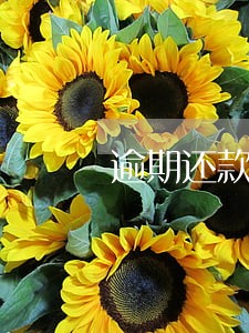 逾期还款影响征信致电客服 逾期还款影响征信致电客服