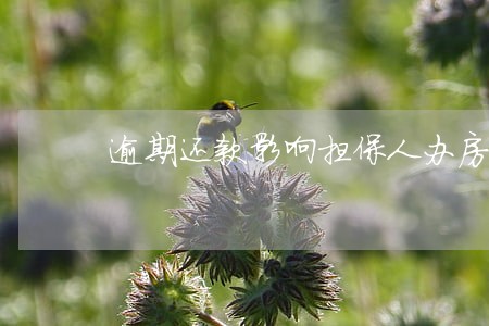 逾期还款影响担保人办房贷吗 逾期还款影响担保人办房贷吗