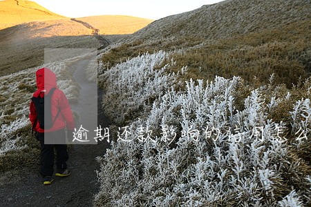 逾期还款影响的信用怎么办 逾期还款影响的信用怎么办