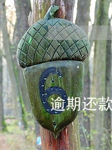 逾期还款征信上会显示吗 逾期还款征信上会显示吗