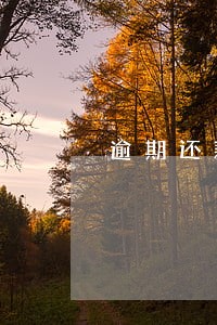 逾期还款征信受损如何赔偿 逾期还款征信受损如何赔偿