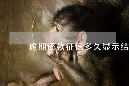 逾期还款征信多久显示结清 逾期还款征信多久显示结清