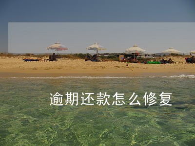 逾期还款怎么修复 逾期还款怎么修复