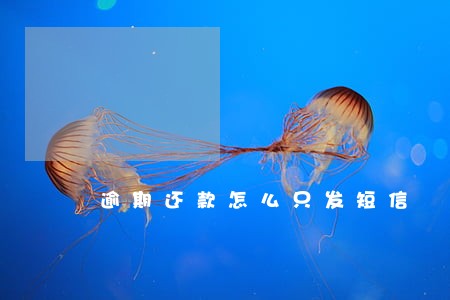 逾期还款怎么只发短信 逾期还款怎么只发短信