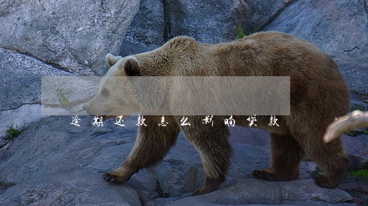 逾期还款怎么影响贷款 逾期还款怎么影响贷款