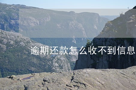 逾期还款怎么收不到信息 逾期还款怎么收不到信息