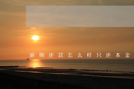 逾期还款怎么样只还本金 逾期还款怎么样只还本金