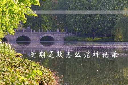 逾期还款怎么消掉记录 逾期还款怎么消掉记录