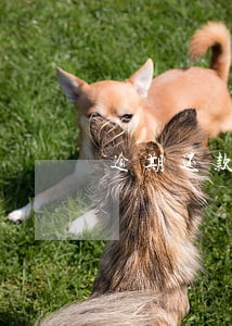 逾期还款怎么申请减免 逾期还款怎么申请减免