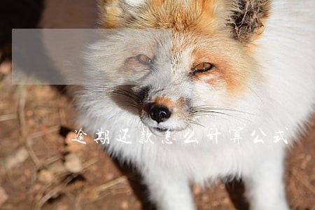逾期还款怎么计算公式 逾期还款怎么计算公式