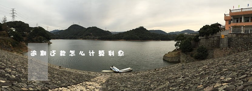 逾期还款怎么计算利息