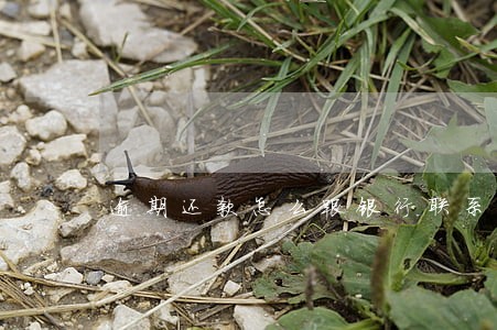 逾期还款怎么跟银行联系 逾期还款怎么跟银行联系