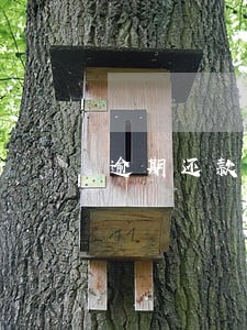 逾期还款怎么还本金 逾期还款怎么还本金