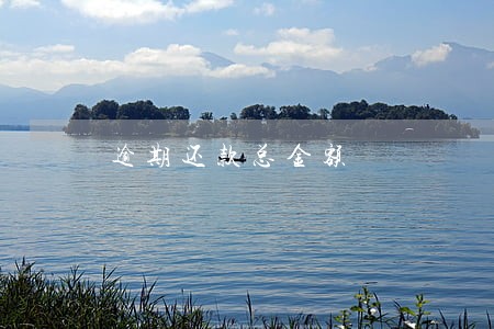 逾期还款总金额 逾期还款总金额