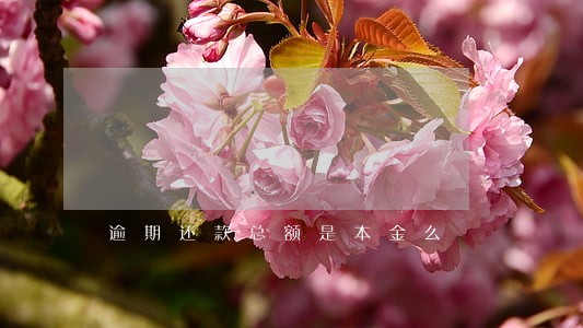 逾期还款总额是本金么 逾期还款总额是本金么