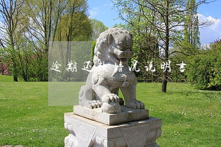 逾期还款情况说明书 逾期还款情况说明书