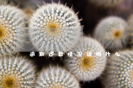逾期还款情况说明什么 逾期还款情况说明什么