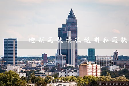 逾期还款情况说明和还款承诺 逾期还款情况说明和还款承诺