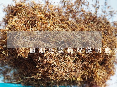 逾期还款情况说明怎么下好 逾期还款情况说明怎么下好