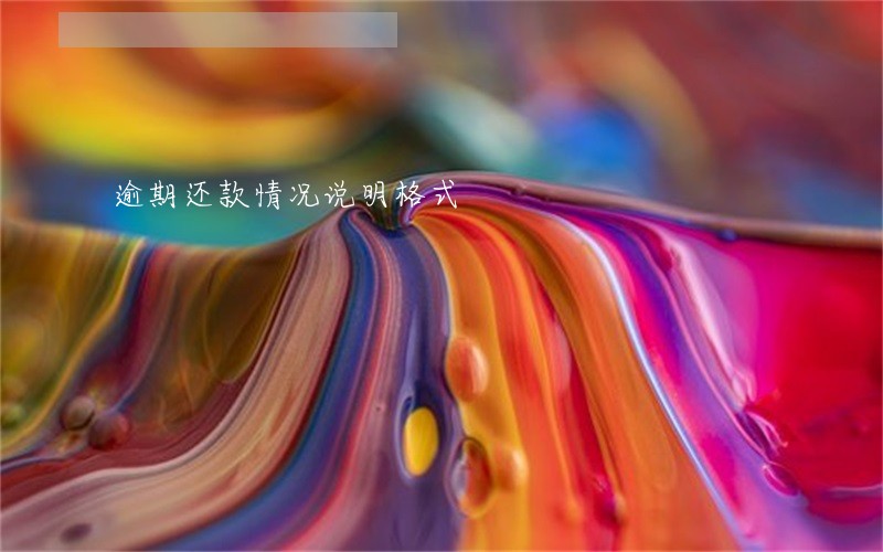 逾期还款情况说明格式 逾期还款情况说明格式
