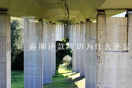 逾期还款成功为什么还显示处理中 逾期还款成功为什么还显示处理中