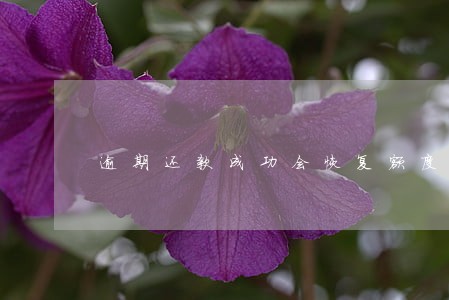 逾期还款成功会恢复额度嘛 逾期还款成功会恢复额度嘛