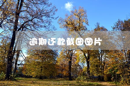 逾期还款截图图片 逾期还款截图图片