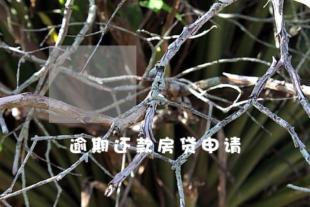 逾期还款房贷申请 逾期还款房贷申请