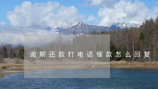 逾期还款打电话催款怎么回复 逾期还款打电话催款怎么回复