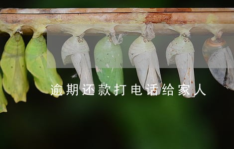 逾期还款打电话给家人 逾期还款打电话给家人