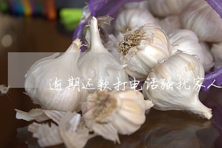 逾期还款打电话骚扰家人哪里举报 逾期还款打电话骚扰家人哪里举报